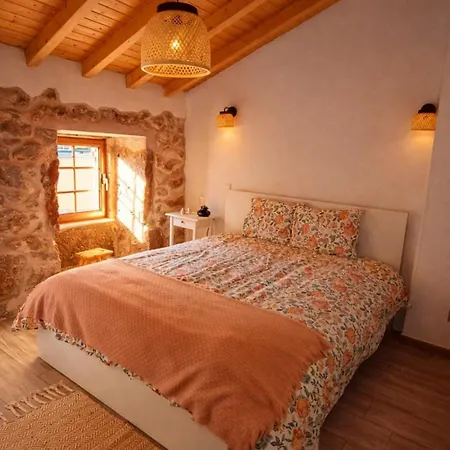Casa Martinho & Neves Seia